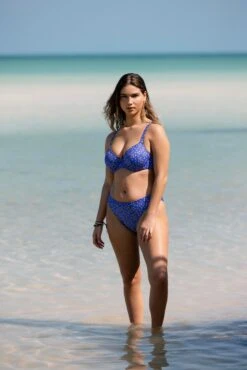 Freya Garden Disco Uw Plunge Bikini Top -Dorothy Perkins Shop xdd07284 bluebell xl 4