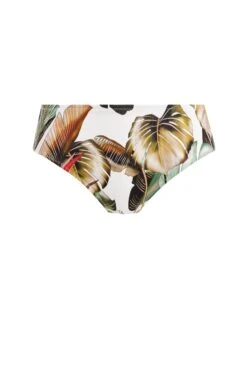 Fantasie Kinabalu Mid Rise Bikini Brief -Dorothy Perkins Shop xdd07320 green xl 3